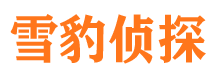 方正外遇出轨调查取证